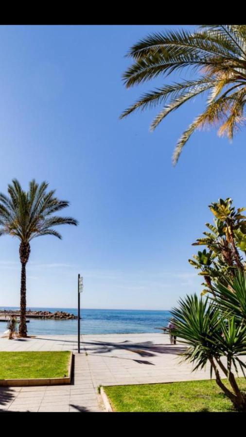 Apartaments Amalia On The Beach 托雷维耶哈 外观 照片