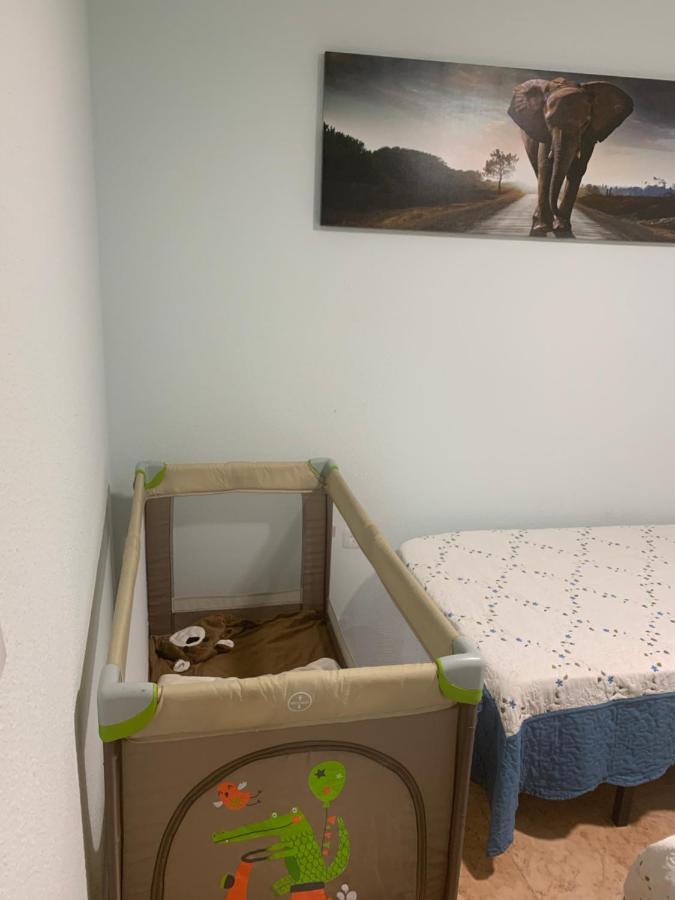 Apartaments Amalia On The Beach 托雷维耶哈 外观 照片