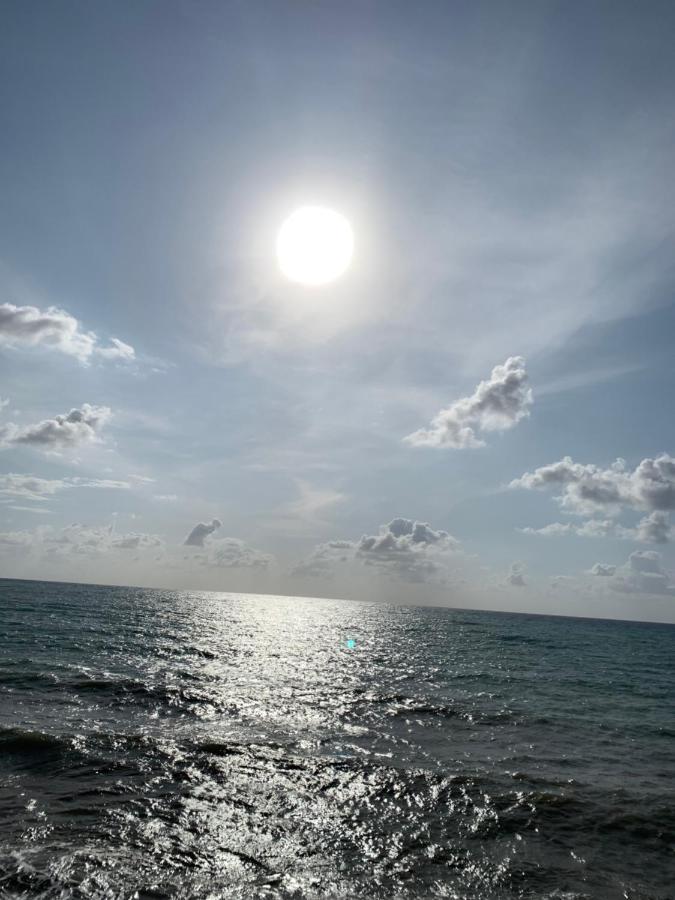 Apartaments Amalia On The Beach 托雷维耶哈 外观 照片