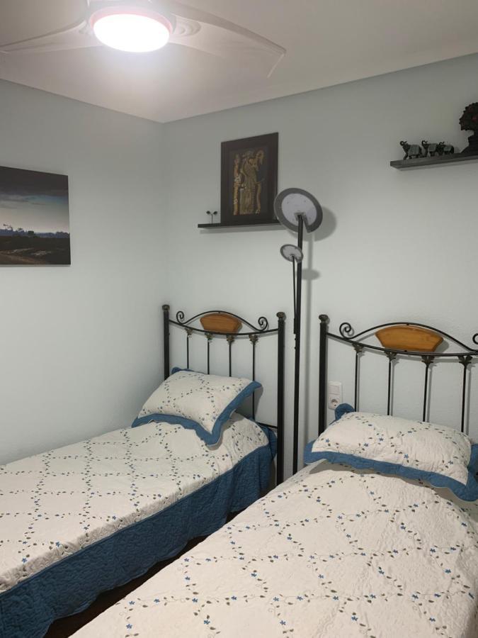 Apartaments Amalia On The Beach 托雷维耶哈 外观 照片