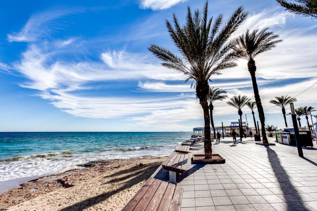 Apartaments Amalia On The Beach 托雷维耶哈 外观 照片