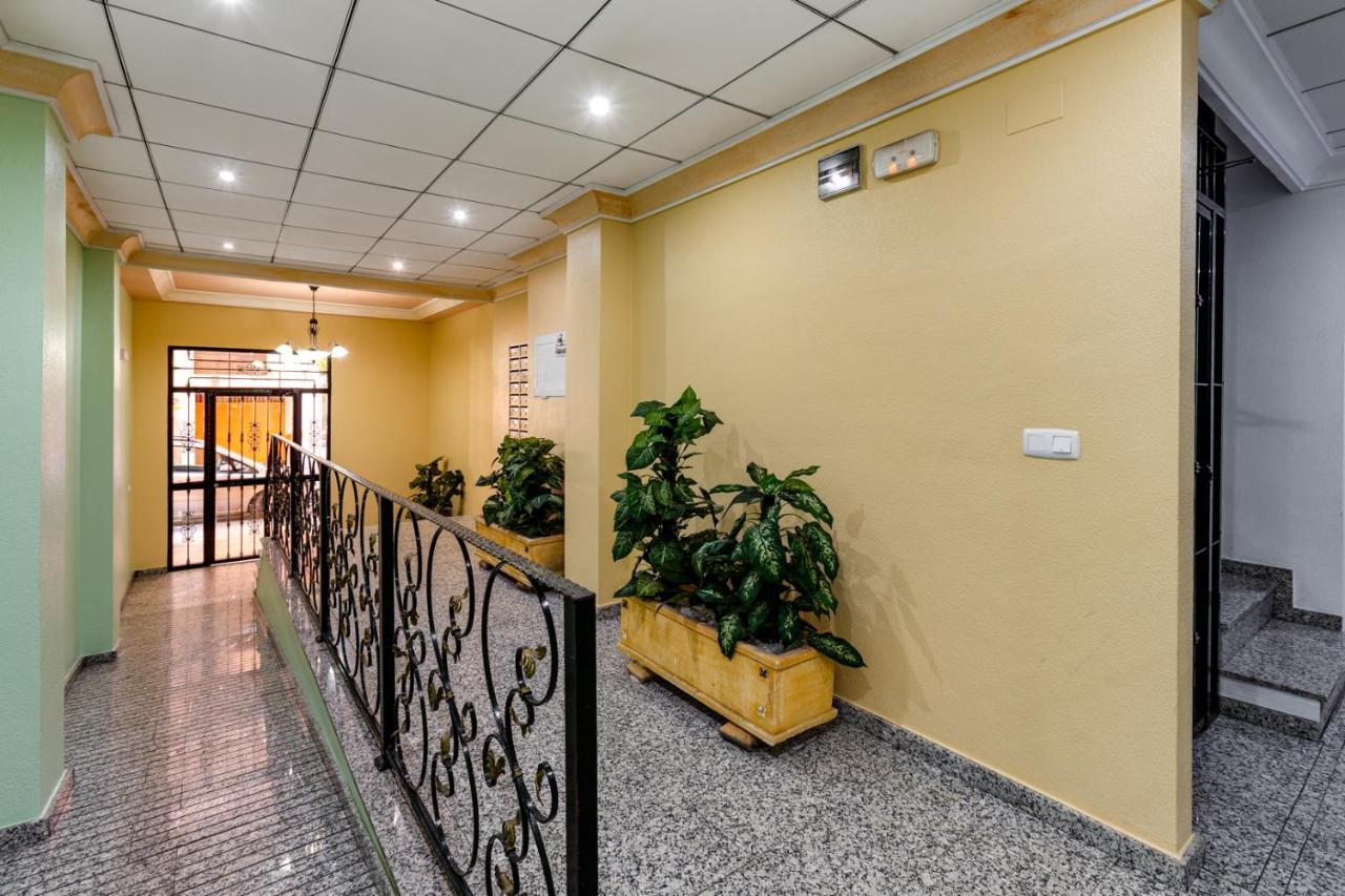 Apartaments Amalia On The Beach 托雷维耶哈 外观 照片